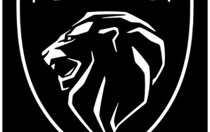 Peugeot Otro automotor Peugeot