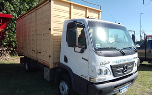 Mercedes Benz Livianos