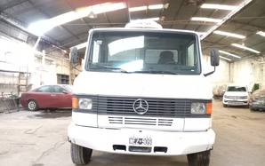 Mercedes Benz Livianos