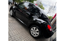 Volkswagen New Beetle