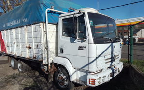Mercedes Benz Livianos