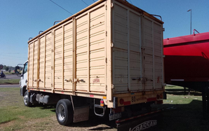 Mercedes Benz Livianos