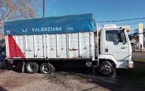 Mercedes Benz Livianos