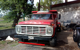 Ford F7000
