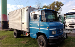 Mercedes Benz Livianos