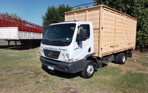 Mercedes Benz Livianos